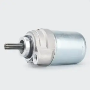 Starter Motor Assy R15