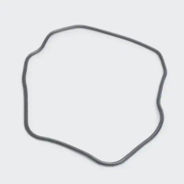 O Ring Head Cover Fz