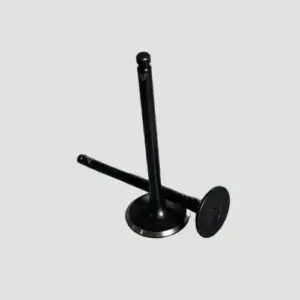Valve Set Fascino/ray