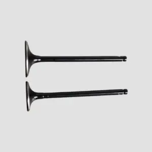 Valve Set Fz N/m
