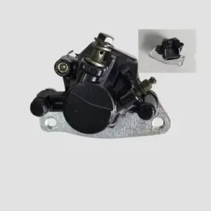 Caliper Assy Ray