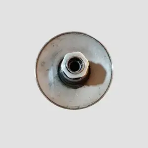 Pully Assy Fascino Bs6