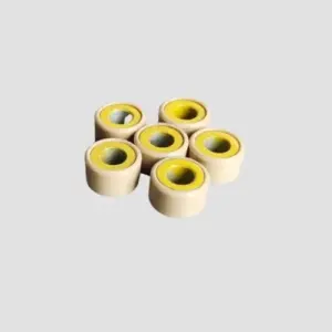 Clutch Roller Set Ray Bs6