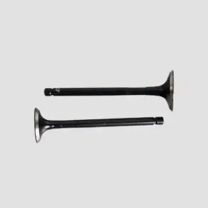 Valve Set Ct100 Es