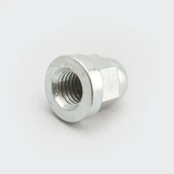 Nut Head Hh - Image 2