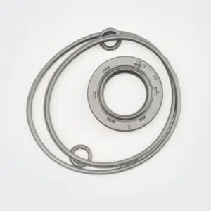 Magnet Oil Seal (w/o-ring Kit) Hh