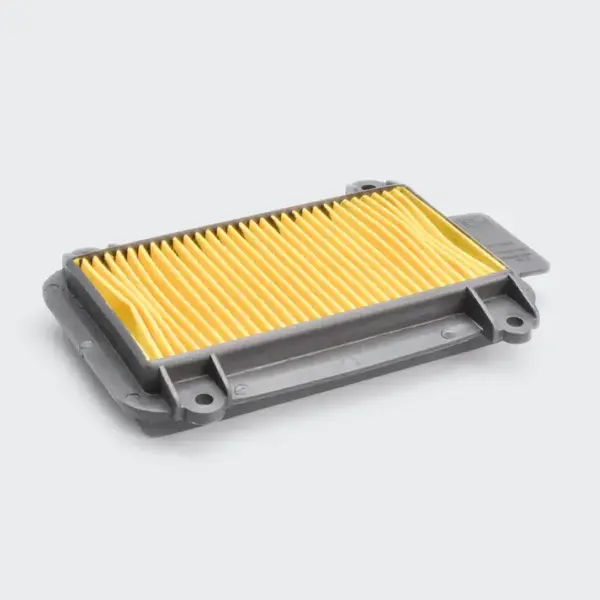 Air Filter [paper] Pleasure/maestro Edge/duet