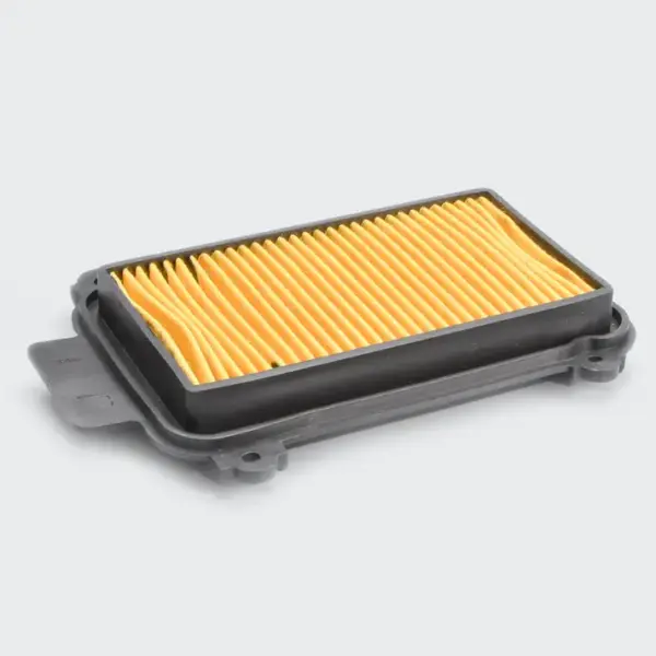 Air Filter [paper] Pleasure/maestro Edge/duet - Image 2