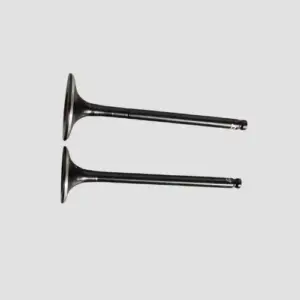 Valve Set Cbz-xtreme