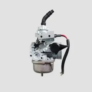 Carburetor. Passion Pro