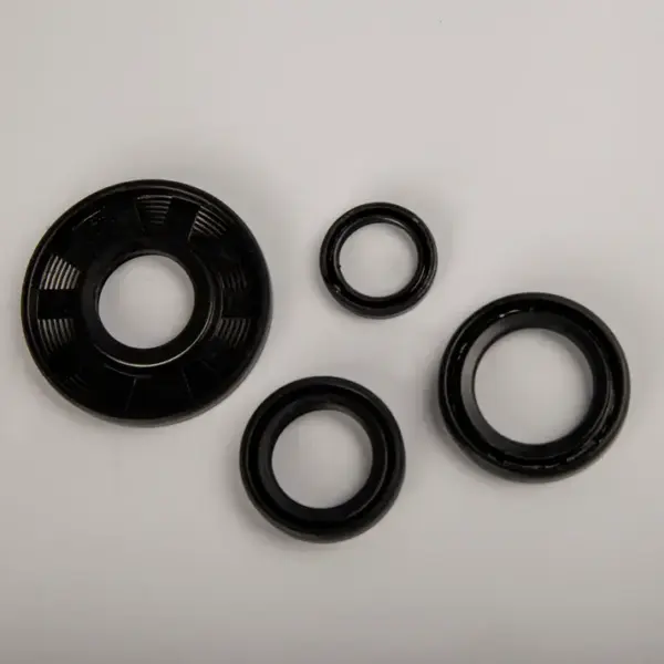 Oil Seal Kit Xl Super - Image 2