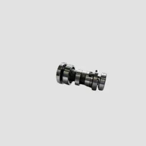 Cam Shaft Assy Xl100 (p7010070)