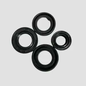 Oil Seal Kit Xl100