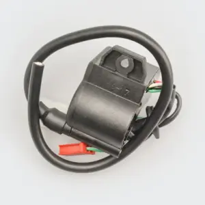 Cdi W/e.t.coil Victor Gx 2/m