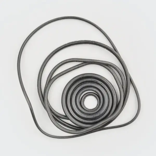 O Ring Kit Victor - Image 2