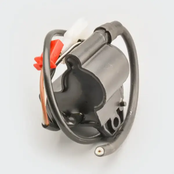Cdi W/e.t.coil Victor Glx [e.s] - Image 2