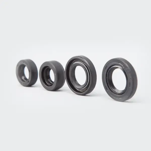 Oil Seal Kit [s.o.4] Victor - Image 2