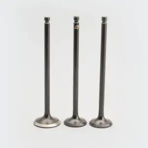 Valve Set [s.o.3] Victor 110