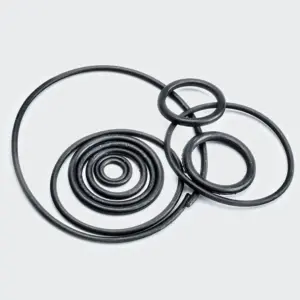 O Ring Kit Activa