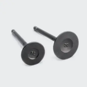 Valve Set Activa/dio/pleasure/maestro/duet