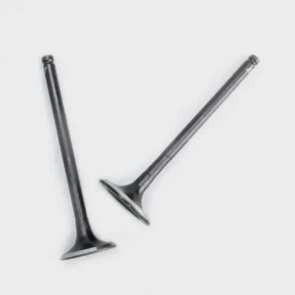 Valve Set Shine/stunner - Image 2