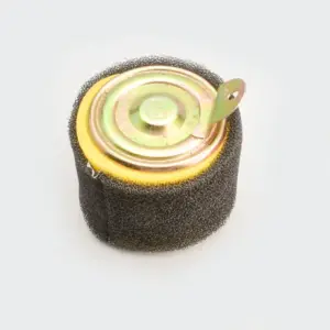Air Filter. Assy [foam W/metal] Activa