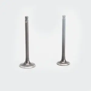 Valve Set Activa 110