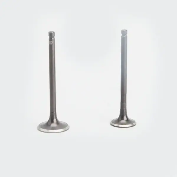Valve Set Activa 110