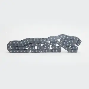 Timing Chain [25n-94l] Eterno/shine