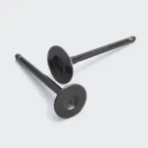 Valve Set Yuga