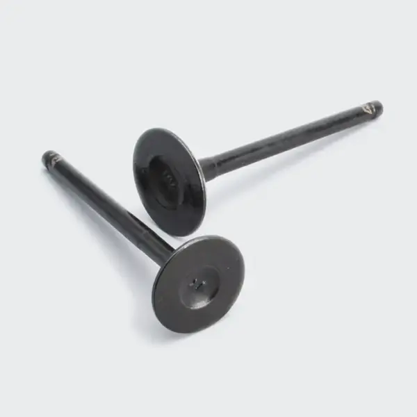 Valve Set Yuga