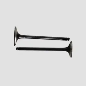 Valve Set Hornet