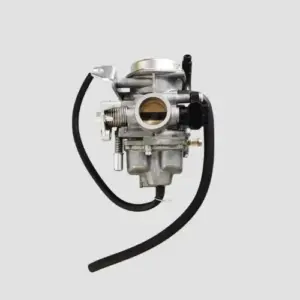 Carburetor. Shine