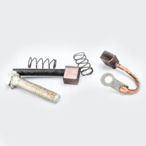 Carbon Brush Set Pulsar