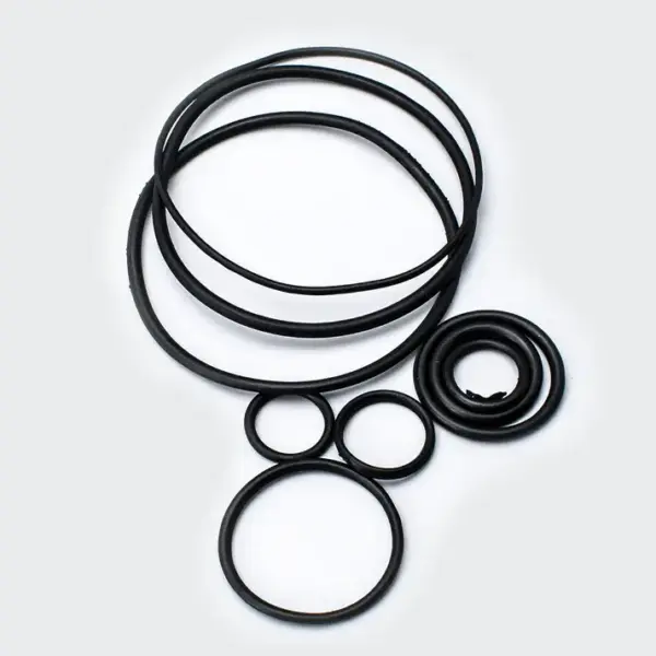 O Ring Kit Pulsar - Image 2