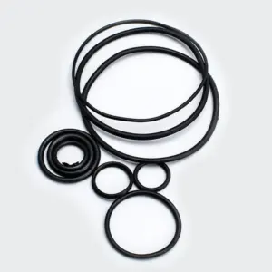 O Ring Kit Pulsar