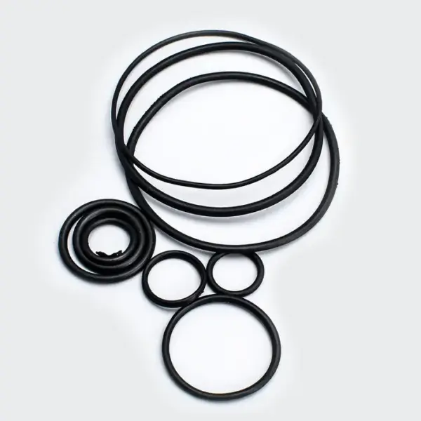 O Ring Kit Pulsar