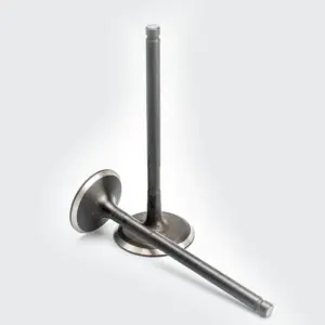 Valve Set Pulsar 180