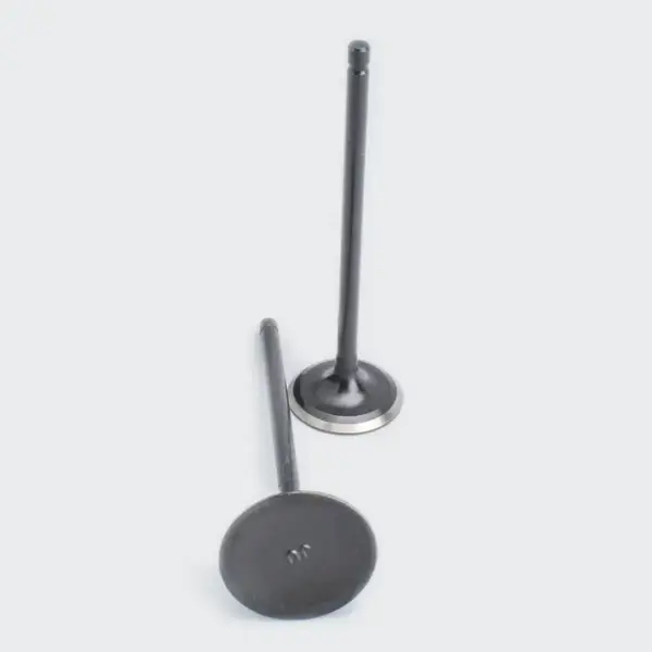 Valve Set Pulsar 180 Dtsi