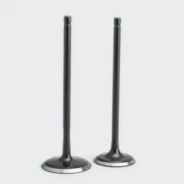 Valve Set Pulsar 180 Dtsi - Image 2