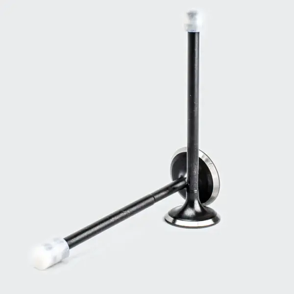 Valve Set Xcd - Image 2