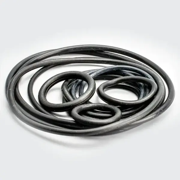 O Ring Kit Discover - Image 2