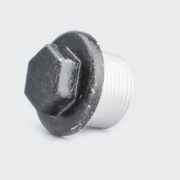 Oil Nut Discover - Image 2