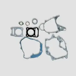 Packing Kit Pulsar 200/pulsar 220