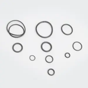 O Ring Kit Rtr160