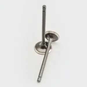 Valve Set Rtr