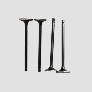 Valve Set Rtr200