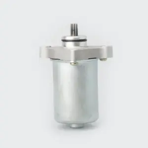Starter Motor Assy Pep/streak