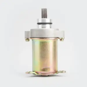 Starter Motor Assy Wego