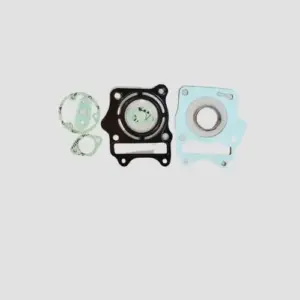 Packing Kit (half) Ntorq Bs6